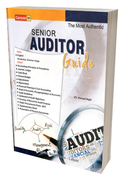 Senior Auditor Guide (Caravan)